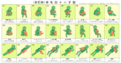 体位獅子舞|大江戸48手全パターン紹介乱れ牡丹、千鳥の曲ってど。